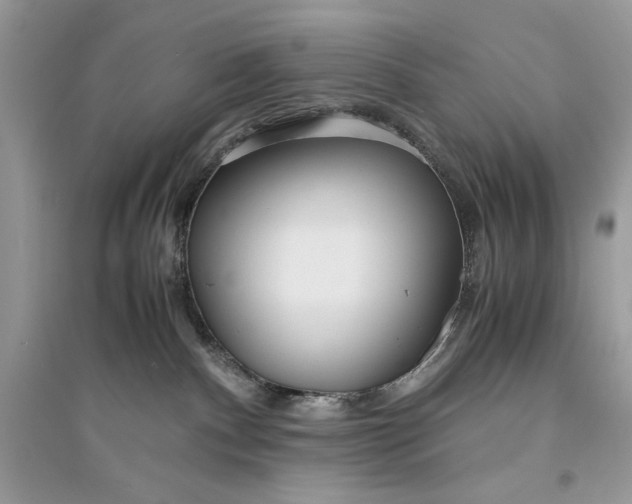 X0000094430140200711291542