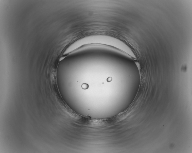 X0000094430141200711291542