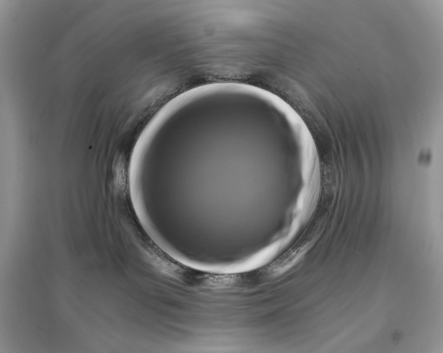 X0000094430143200711291542