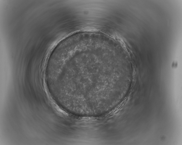 X0000094430145200711291541