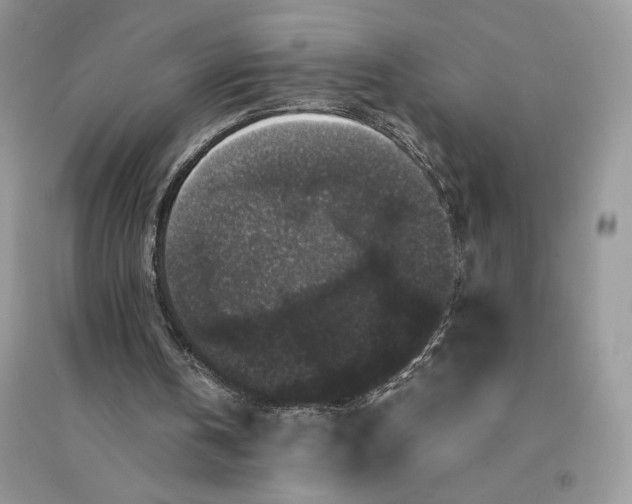 X0000094430146200711291541