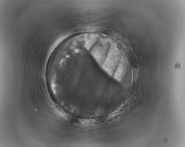 X0000094430147200711291541