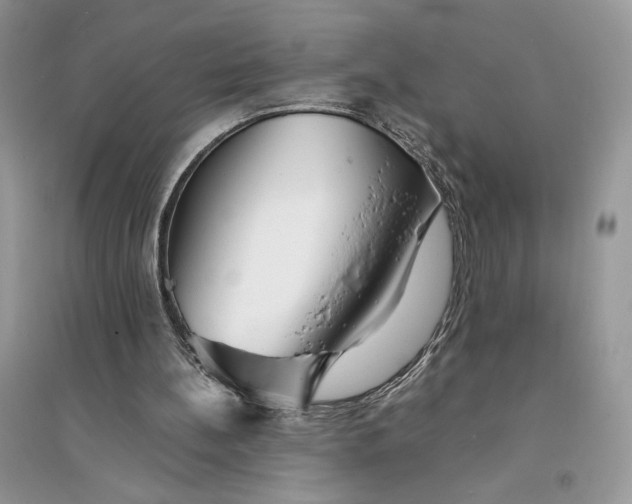 X0000094430148200711291541