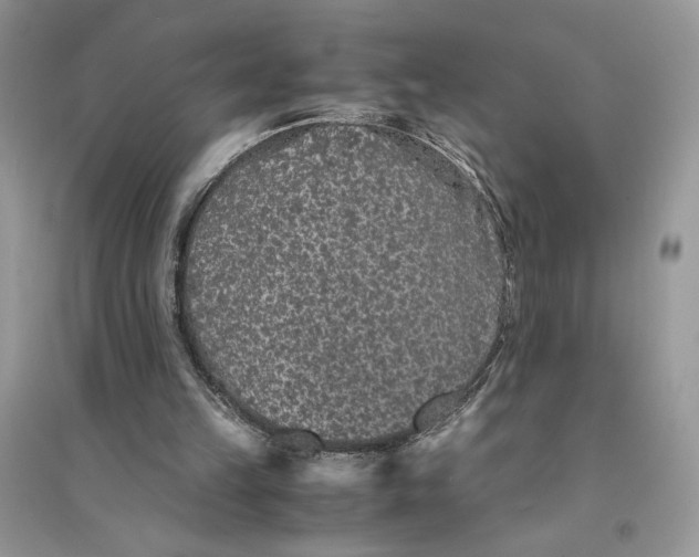 X0000094430149200711291541