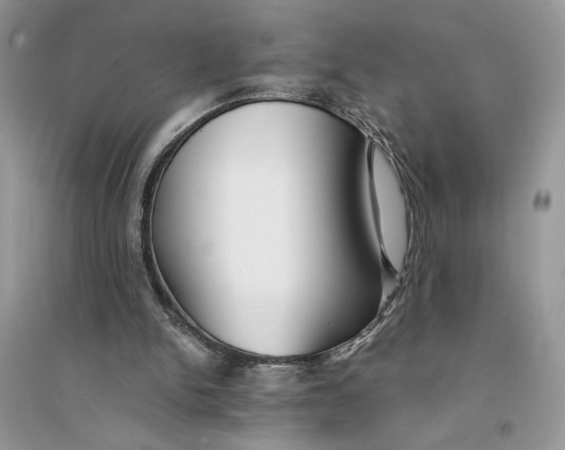 X0000094430150200711291541