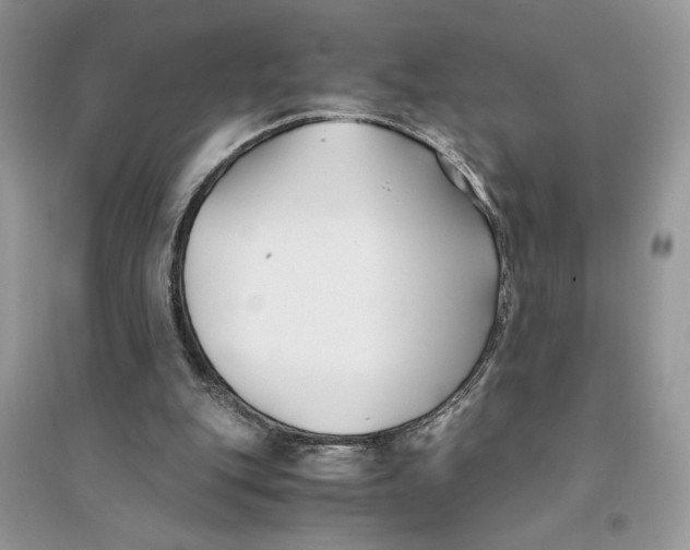 X0000094430151200711291541