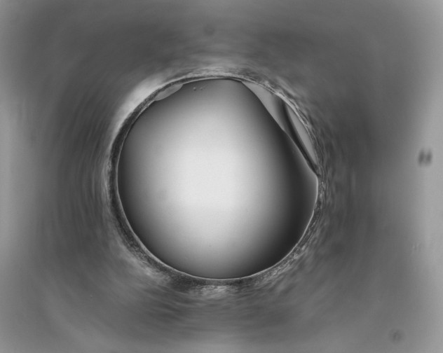 X0000094430152200711291541