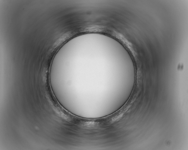 X0000094430153200711291541