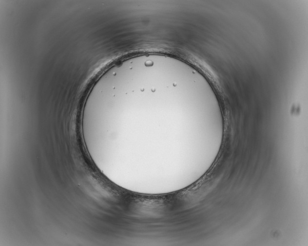 X0000094430155200711291541