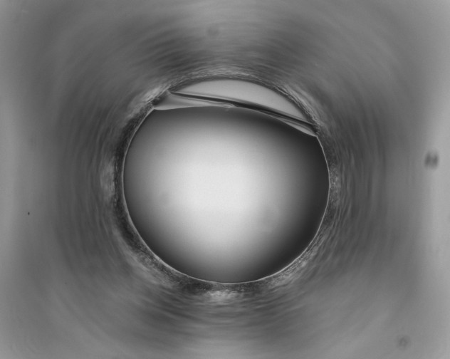 X0000094430158200711291541