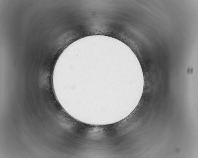 X0000094430162200711291541