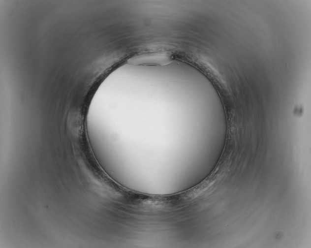 X0000094430164200711291541