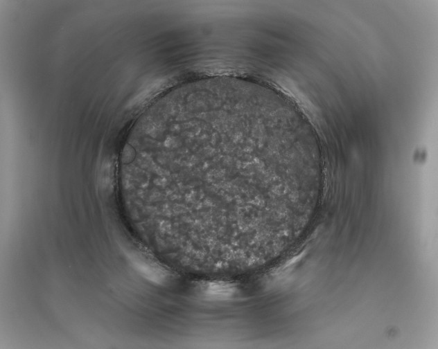 X0000094430165200711291541