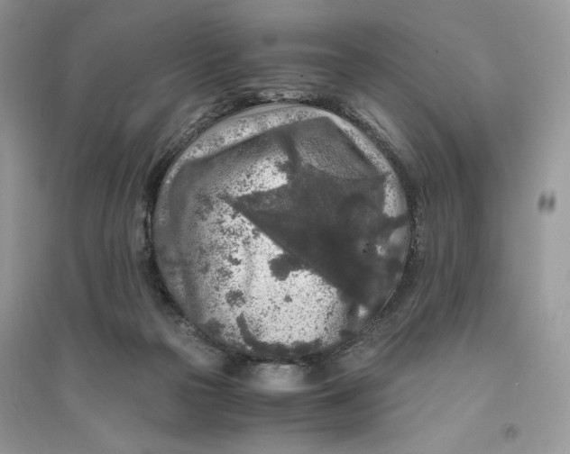 X0000094430169200711291541