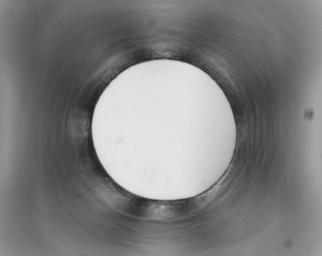 X0000094430174200711291541