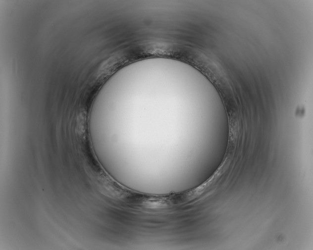 X0000094430175200711291541