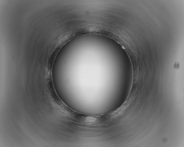 X0000094430176200711291541