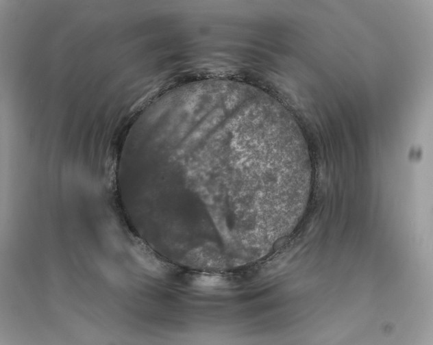 X0000094430177200711291541