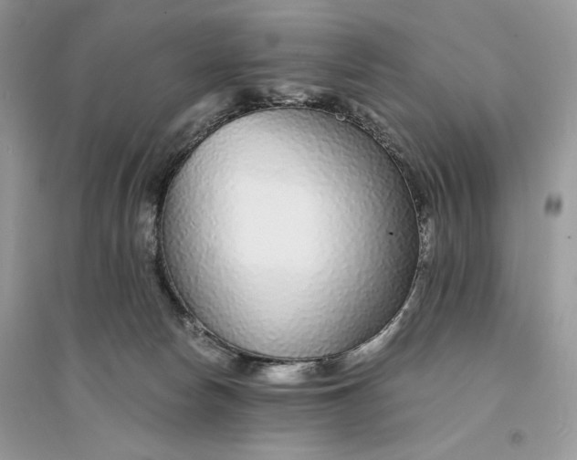 X0000094430178200711291541