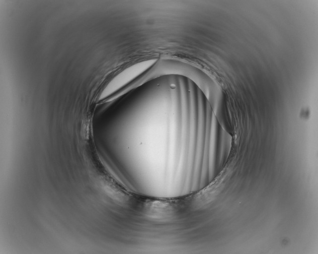 X0000094430180200711291541