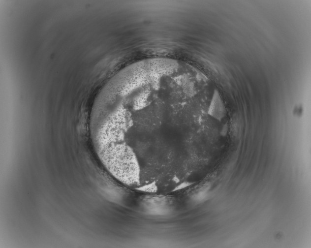 X0000094430181200711291541