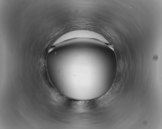 X0000094430184200711291541