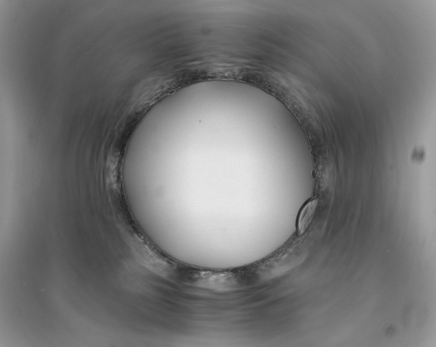 X0000094430185200711291541