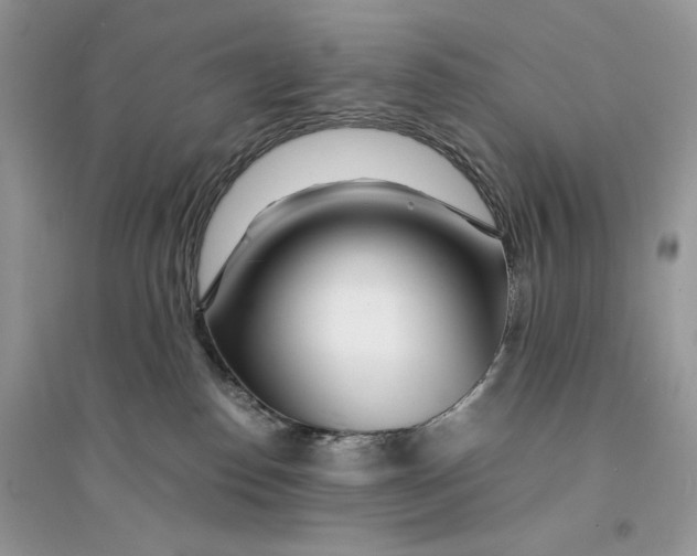 X0000094430186200711291541