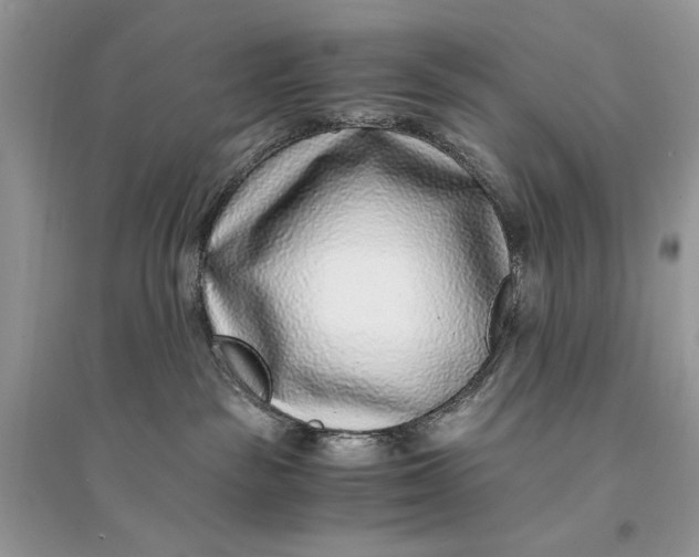 X0000094430189200711291541