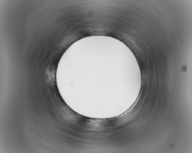 X0000094430190200711291541