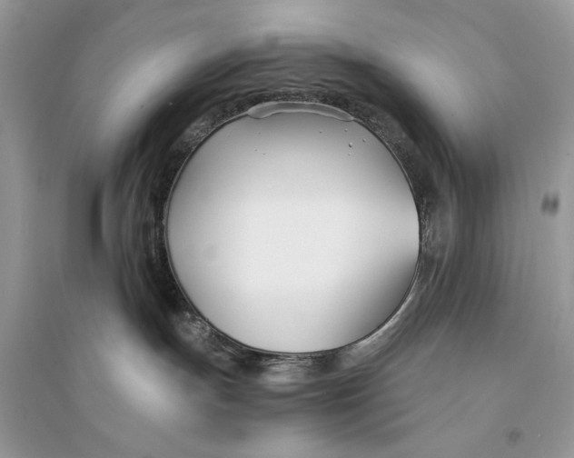 X0000094430191200711291541