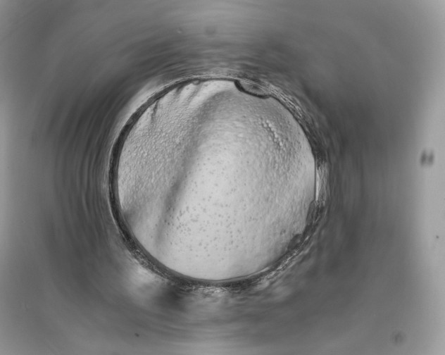 X0000094430195200711291541