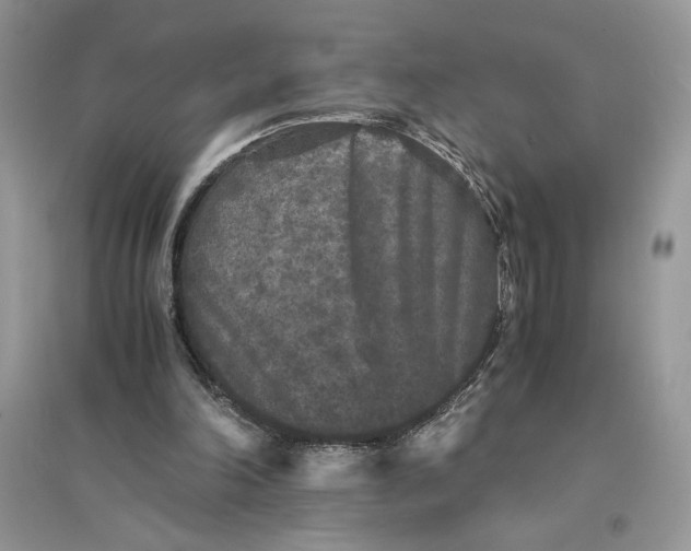 X0000094430198200711291541