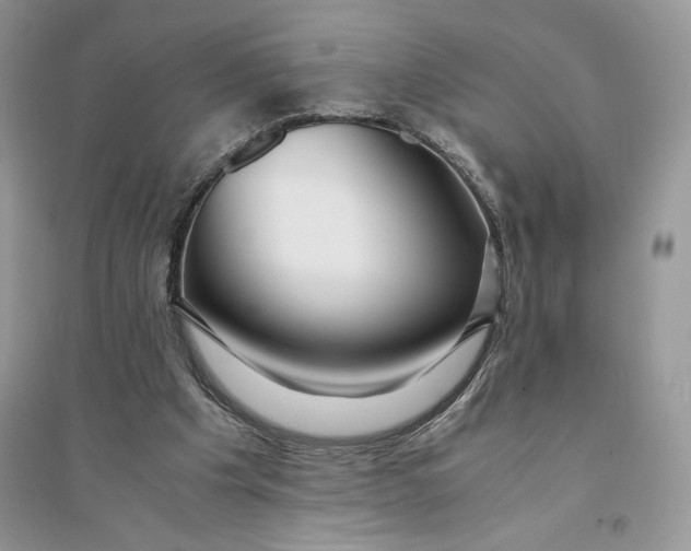 X0000094430201200711291540