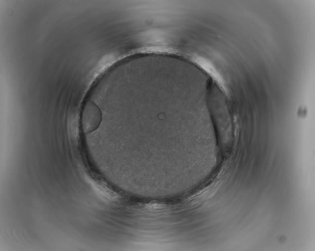 X0000094430204200711291540