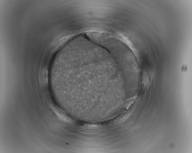 X0000094430205200711291540