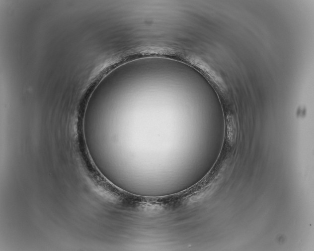 X0000094430207200711291540