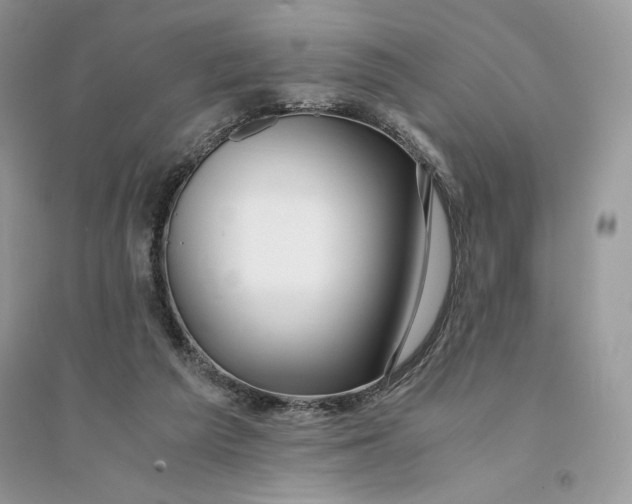 X0000094430209200711291540