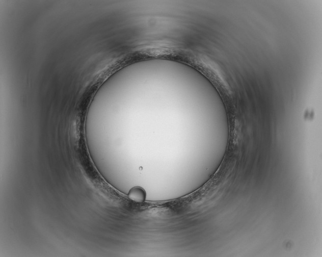 X0000094430210200711291540