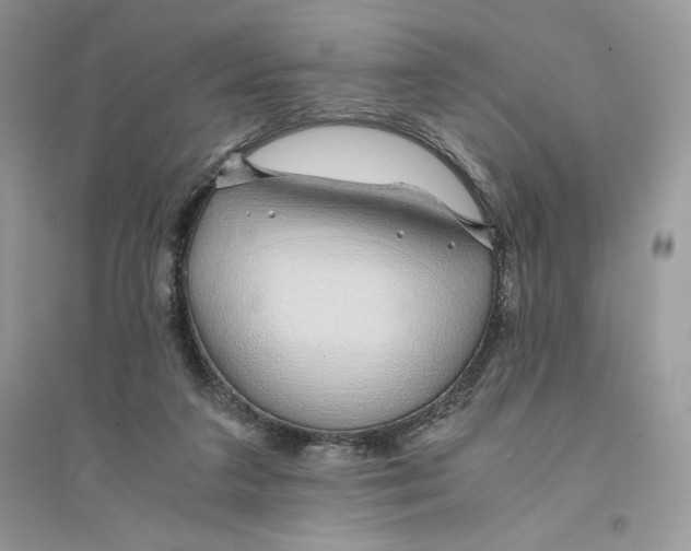 X0000094430211200711291540