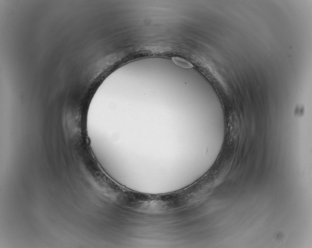 X0000094430212200711291540