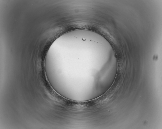 X0000094430213200711291540