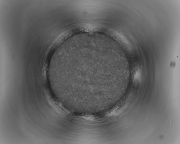 X0000094430214200711291540