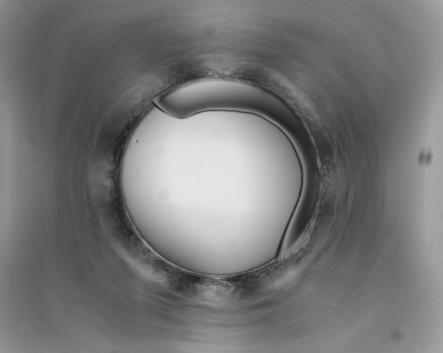 X0000094430215200711291540