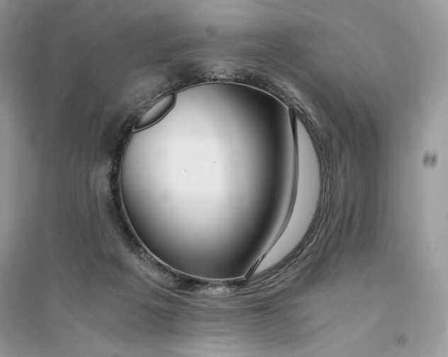 X0000094430217200711291540