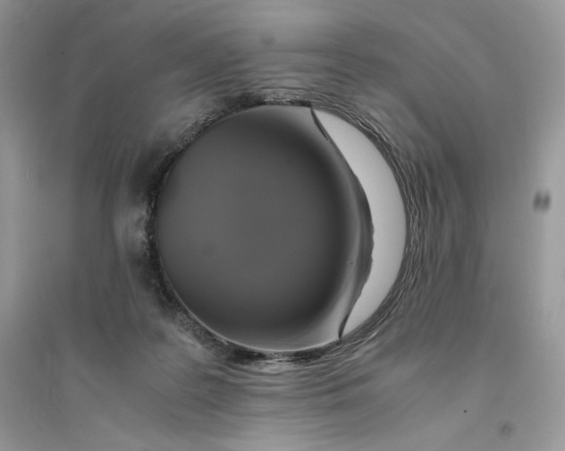 X0000094430219200711291540