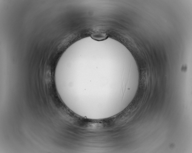 X0000094430220200711291540