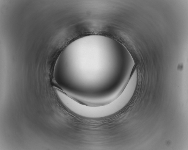 X0000094430221200711291540