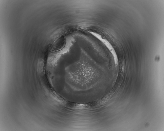 X0000094430222200711291540