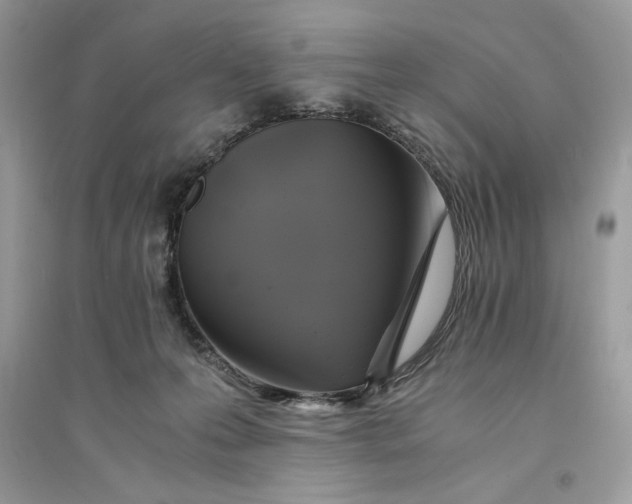 X0000094430223200711291540